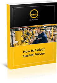 Control-Valves-eBook-3D